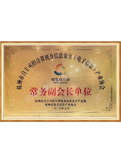 自主可控計(jì)算機(jī)副會(huì)長(zhǎng)單位